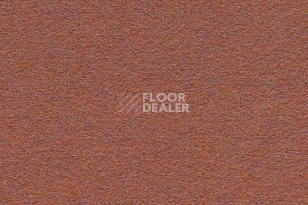 Ковровая плитка FINETT Dimension p509204 – f509104 фото 1 | FLOORDEALER